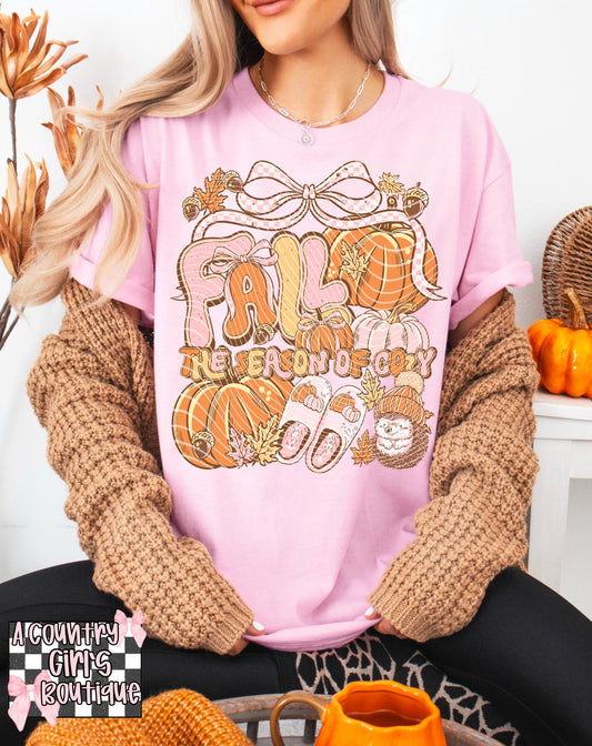 Fall the season of cozy