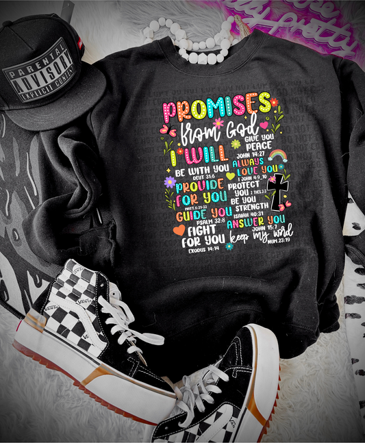 Promises from God  T-shirt or Sweatshirt